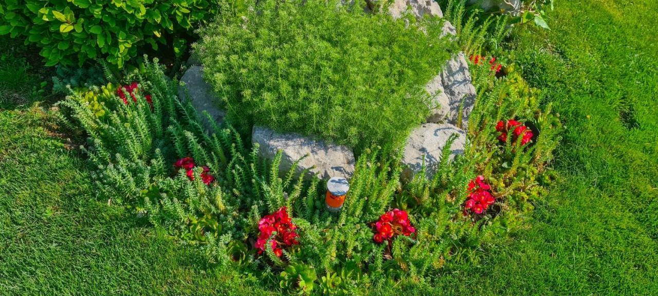 Apartments Villa Krasa Lovran Εξωτερικό φωτογραφία